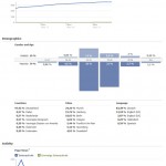 Facebook Insights Dashboard