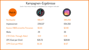 Ergebnisse: Vergleich zweier Kampagnen von TikTok und Instagram