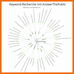 Keyword-Recherche mit AnswerThePublic zum Keyword "Ambulante Pflege"