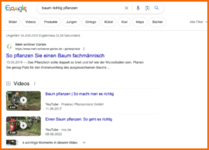 Google SERP mit Videos