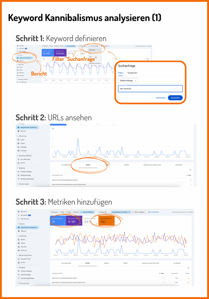 So analyiserst du Keyword Kannibalismus in der GSC