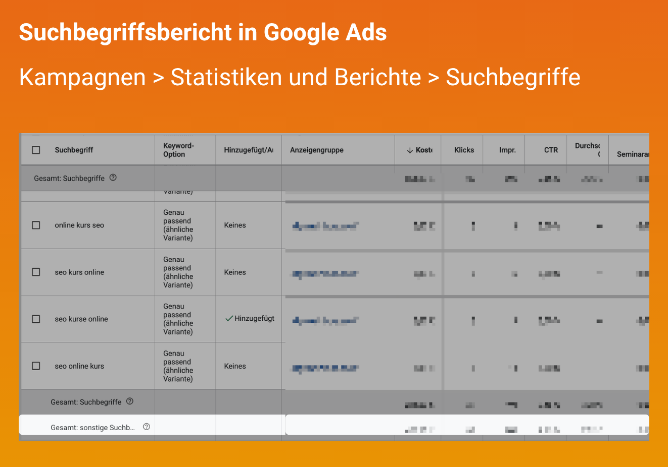 "sonstige Suchbegriffe2 im Google Ads Suchbegriffsbericht